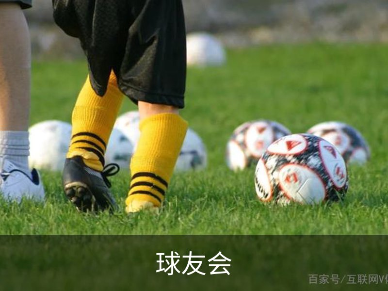 球友会简介